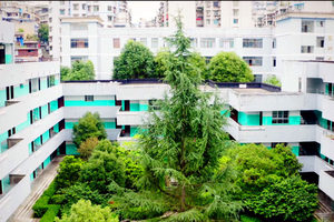 学校环境（图3）